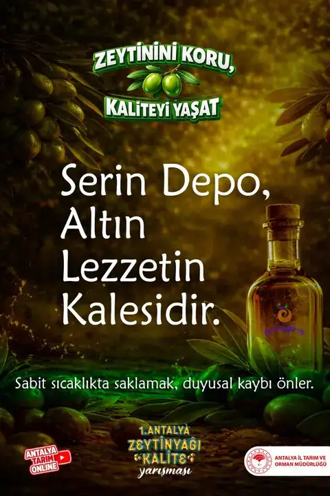 Antalya’da Zeytin Dalından Sofraya Zeytinyağı Kalite Rehberi 5